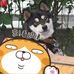 Profile Picture of Shawn Tseng (@shawn.tseng.9) on Facebook