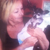 Profile Picture of Vickie Alberts (@vickie-alberts) on Quora