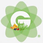 Profile Picture of 1522 Myrtle ave brooklyn (@colormegreens) on Instagram