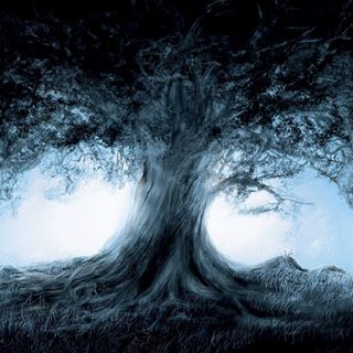 Profile Picture of Thomas Nestler (@daniel.nestler.31) on Facebook