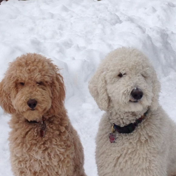 Shelly Haines - Poshmark Profile Picture of Shelly Haines (@shellyhaines) on Poshmark