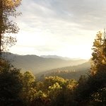 Mark Gilbert - Instagram Profile Picture of Mark Gilbert (@cooncreekroad) on Instagram