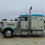 Profile Picture of Robert Mies (@robertmies) on Instagram