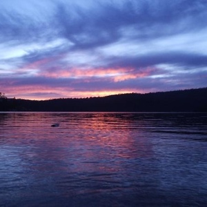 Profile Picture of Dirk Maxwell (@250876397) on Myspace