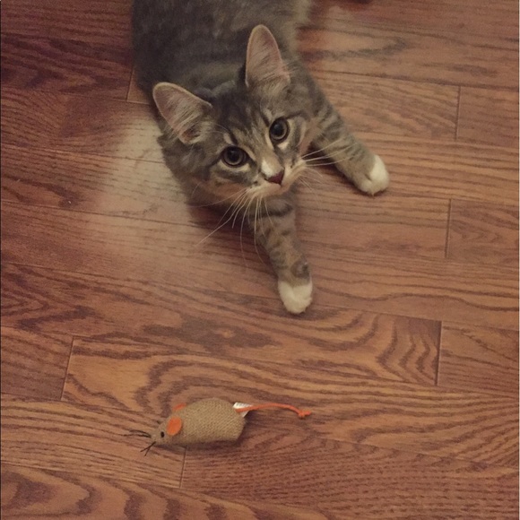 Amanda Van ert - Poshmark Profile Picture of Amanda Van ert (@vanert79) on Poshmark