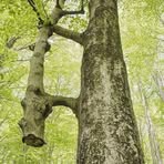 Profile Picture of Jefferson Blake (@Jefferson-Blake) on Facebook