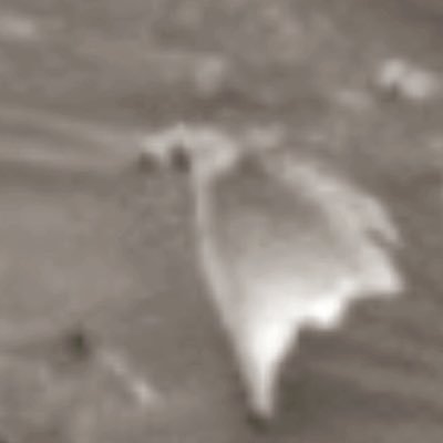 Profile Picture of Timothy Suddreth (@TimothySuddreth) on Twitter