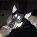 Profile Picture of Tim Terrill (@tim.terrill.9) on Facebook
