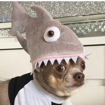 Profile Picture of Donna (@DonnaHackman3) on Twitter
