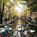 Profile Picture of Mark Lammerts Van bueren (@marklammertsvan) on Instagram