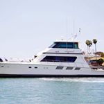 Todd Mansur - Instagram Profile Picture of Todd Mansur (@boardroomfishing) on Instagram