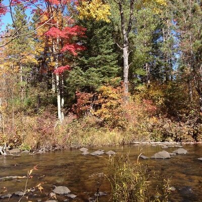 Profile Picture of Steve Ledwith (@steveledwith) on Twitter