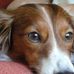 Profile Picture of Craig Hepworth (@craig.hepworth.921) on Facebook
