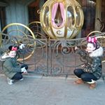 Profile Picture of james Lyall (@lyall6332) on Instagram