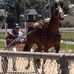 Profile Picture of Michael Osborn (@michael.osborn.73700) on Facebook