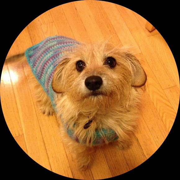 Profile Picture of Jenny Siepler (@siepler44) on Poshmark