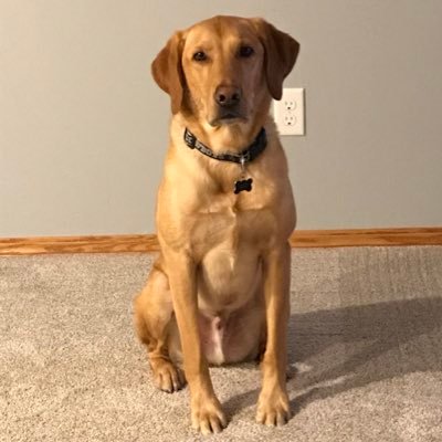 Profile Picture of Eric Seefeldt (@eric_seefeldt) on Twitter