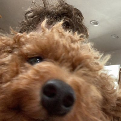 Profile Picture of Jared Lennon (@jaredmlennon) on Twitter