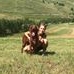 Profile Picture of Erica Comandù (@erica.comandu) on Facebook
