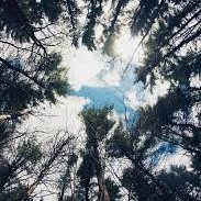 Profile Picture of Xie Ocampo @xiexie (@bryan_venzon) on Twitter