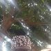 Profile Picture of Omar Conde (@Omar-Conde) on Facebook