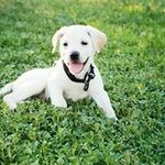 Profile Picture of Cindy Kirby (@cindaire) on Instagram