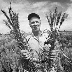 Profile Picture of Norman Ernest Borlaug (@ErnestBorlaug) on Twitter