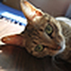 Profile Picture of %u744B%u8FB0 %u66FE (@William_zeng) on Flickr