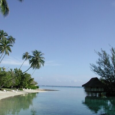 Profile Picture of Ben April (@bapril) on Twitter