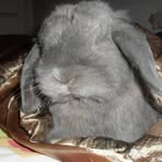 Profile Picture of Edwin Provencher (@edwin.provencher) on Facebook