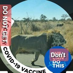 Profile Picture of randylobe (@randylobe) on Tiktok