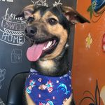 Profile Picture of Sanduba e Batuque (@sandubaebatuque) on Instagram