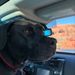 Profile Picture of Carol Borcic (@cjborcic) on Pinterest