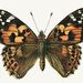Profile Picture of Vanessa Blevins (@blevins1459) on Pinterest