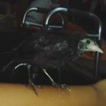 Profile Picture of Amir Garcia (@amirgarcia31) on Instagram