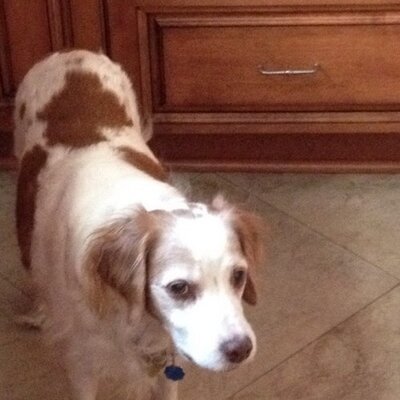 Profile Picture of Gary Gibbons (@GaryGibbonspeak) on Twitter