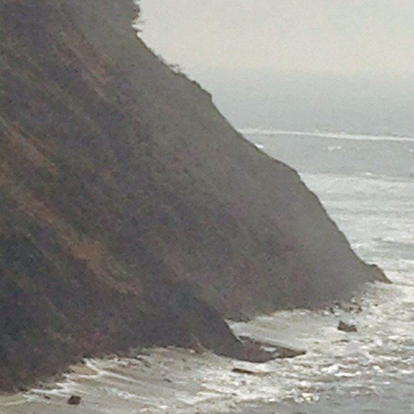 Profile Picture of Carol Chase (@iamkako) on Poshmark