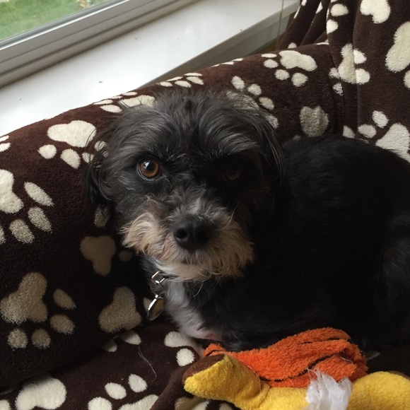 Connie Kadyk - Poshmark Profile Picture of Connie Kadyk (@cooper2home) on Poshmark