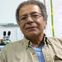 Profile Picture of Magdy Girgis (@magdy-girgis-5) on Quora