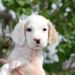 Profile Picture of Kitty Ryznar (@kryznar) on Pinterest
