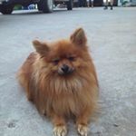 Profile Picture of Aaron Straus (@aaron_straus123) on Instagram