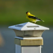 Profile Picture of Jeri Klein (@jeriklein2551) on Youtube