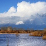 Profile Picture of Darius (@dariusivysto) on Instagram