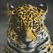 Profile Picture of Mauro Rodríguez (@mauritoo10) on Pinterest