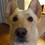 Profile Picture of Jessica Holt (@jessica holt) on Flickr