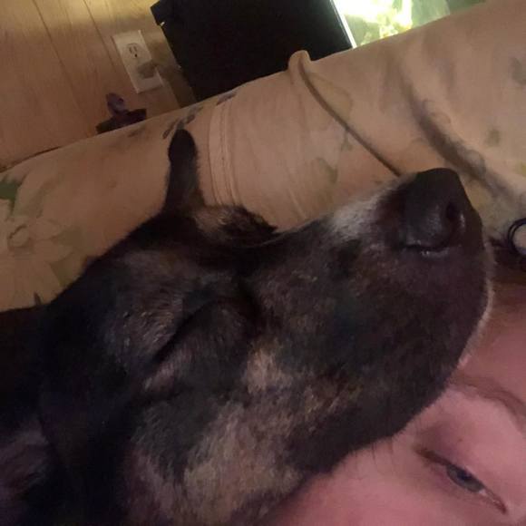 Profile Picture of Sam Hubbard (@samhubbard486) on Poshmark