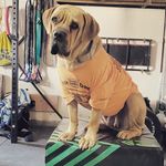 Profile Picture of Eric Geist (@geist_trains33) on Instagram