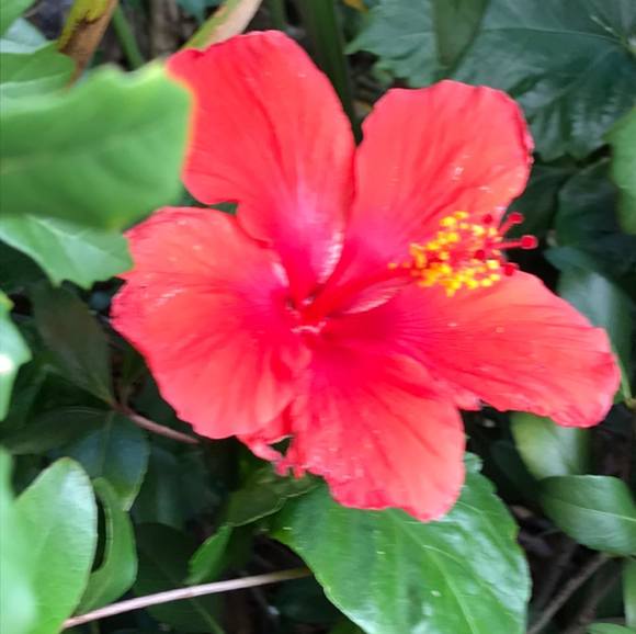 Profile Picture of Sally Budreau (@sallybudreau) on Poshmark