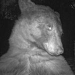 Profile Picture of 𝑔𝓇𝒶𝒸𝑒 𝒽𝑒𝓇𝓃𝒶𝓃𝒹𝑒𝓏 👙 (@gracehvictoria) on Instagram