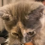 Profile Picture of Shawn Zayas (@Shawn-Zayas) on Facebook